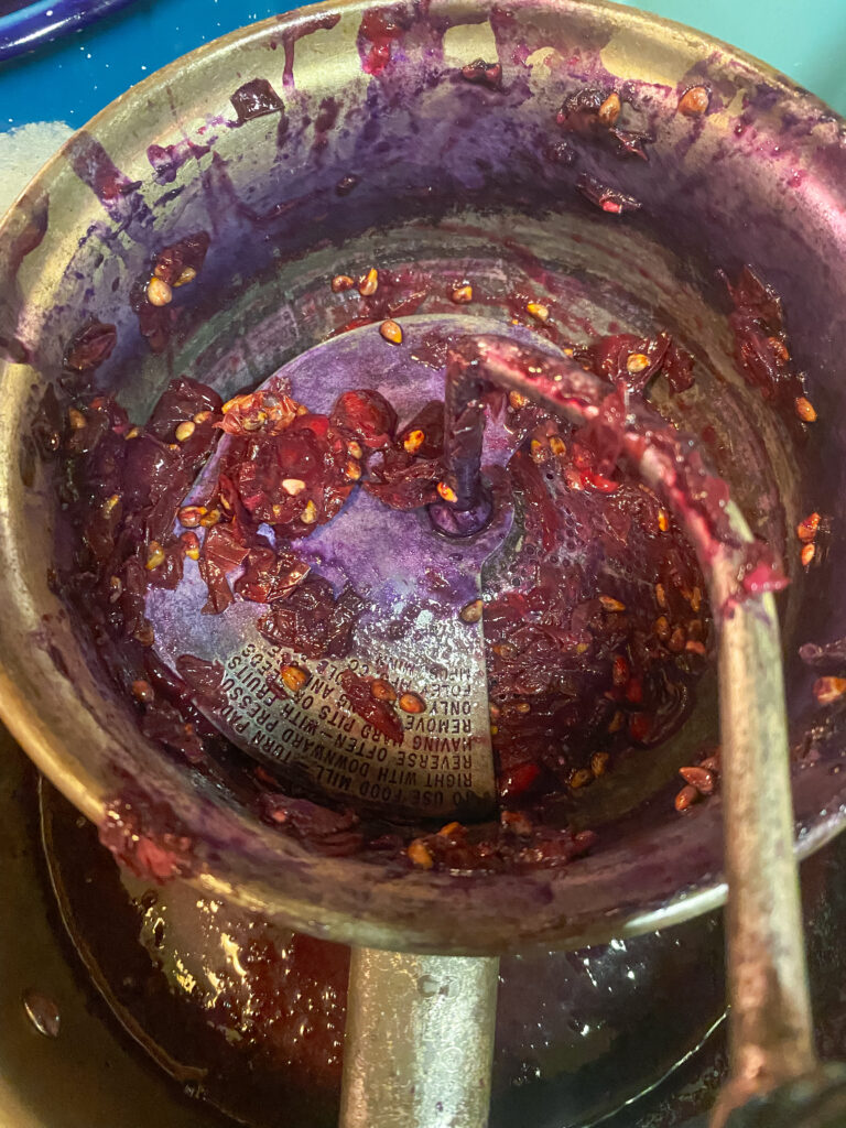 Pulp and seeds left from the fox grapes after being juiced