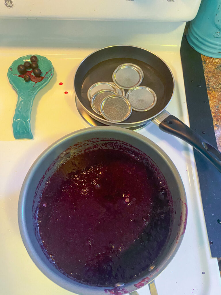 Fox grape Juice on the stove cooking with canning lids heating up