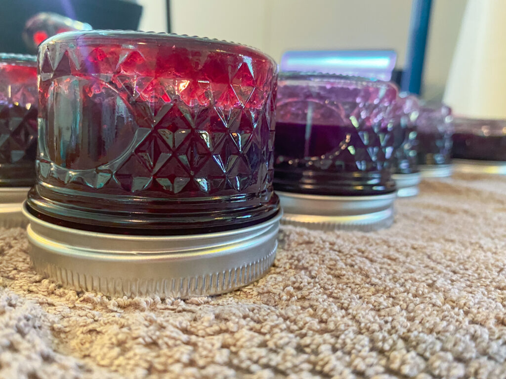 Canned fox grape jelly in jelly jars